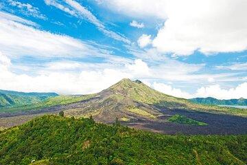 Private Full Day Bali Tour with Driver