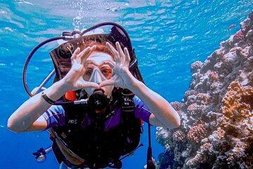 Hurghada Beginner Scuba Diving with 2 Dives & Lunch