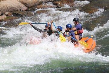 Durango ~ "Three Quarter" Day Raft Trip with Riverside Lunch