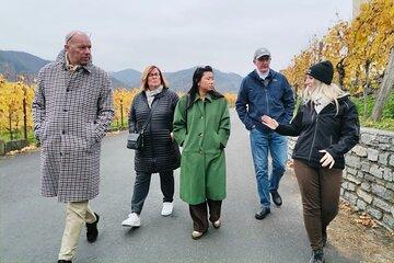 Wachau Valley Private Wine Tour with Tasting and Gourmet Lunch