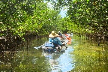 Sarasota Waterways Tour for All Ages
