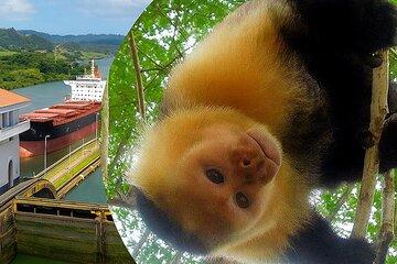 Panama Canal and Gatun Lake Wildlife Half Day Tour