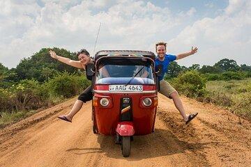 Full Day Private Sightseeing Tour by Tuk Tuk in Jaipur