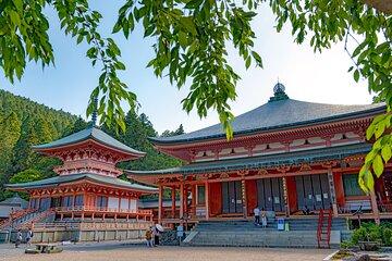 Private Tour to Kyu Chikurinin Garden by Car