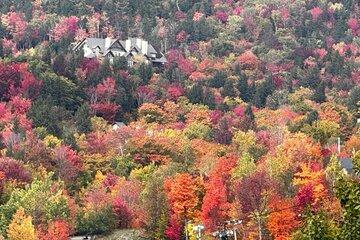 Private All Inclusive Day Tour from Montreal to Mont Tremblant
