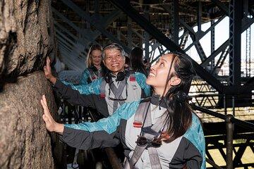 BridgeClimb UnderBridge Walk