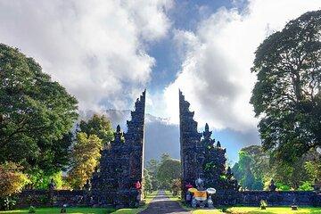 North Bali Private Car Tour