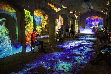 The impressive Monet and the brilliant Klimt immersive experience