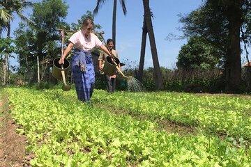 Full Day Siem Reap Farm Tour with Cooking Class and Monk Blessing