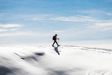 Arctic Sightseeing and Snowshoe Hike