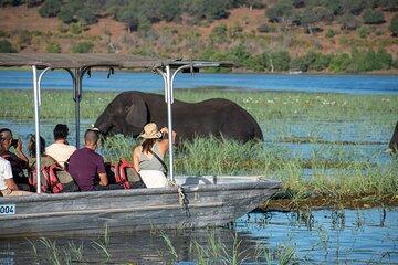 Victoria Falls And Chobe Explorer