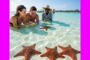 VIP Saona Island Catamaran Cruise Private Beach and Premium Lunch