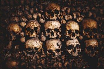Paris Catacombs Direct Access Ticket and Guidebook