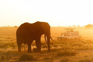 5-Day Classic Serengeti & Ngorongoro Crater Safari