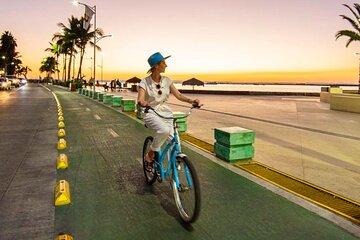 Tour to La Paz, Balandra and Todos Santos from Cabo and San Jose