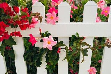 Discover Lush Gardens, Trees & Neighborhoods: Private