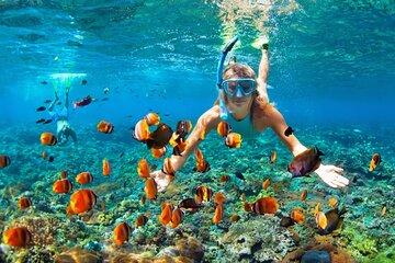 Muscat Dhow Cruise with Snorkeling in Bandar Al Khairan