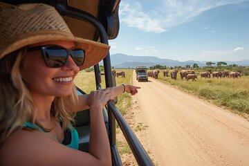 Full Day Big 5 Safari Tour at Aquila Private Game Reserve