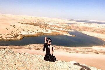 Fayoum Oasis and Wadi El Rayan Waterfalls Tour from Cairo