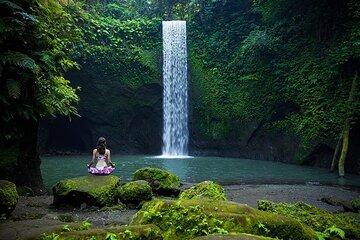 Ubud Waterfall, Rice Terraces and Monkey Forest Private Tour