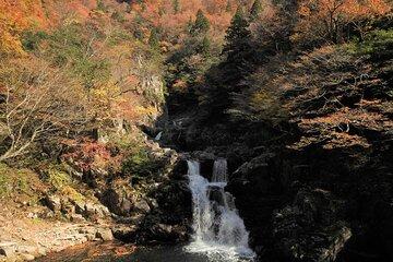 Sandan Falls Immersion Trail with Kurobuchi Boat Crossing