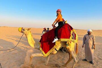 Sunset Desert Safari with BBQ Dune Bashing Camel and More