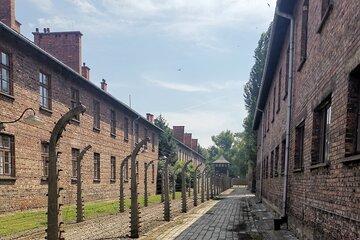 Guided tour of the Auschwitz-Birkenau Camp.