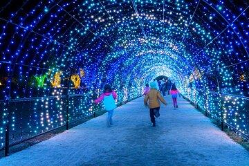 Experience Filoli Gardens Glow Night Wonderland and Light Tour