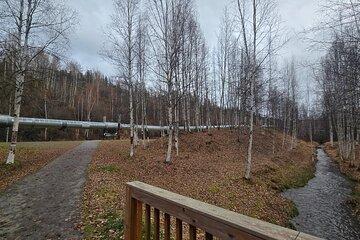 Heart of Fairbanks Tour Culture, Food, History and Fun