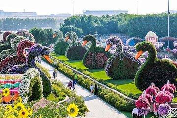 Miracle Garden and Global Village Experience