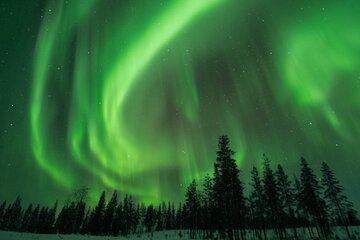Rovaniemi: Insider Christmas and New Year Family Package