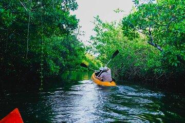 Kayaking Adventure on serene waters through mangroves, Akurala