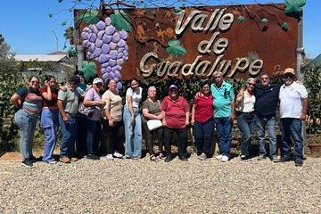 Wine Route Guadalupe Valley