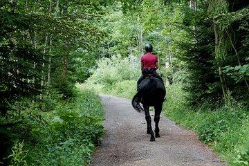 Half-day Cancun: Horseback riding, ATV, zipline & cenote
