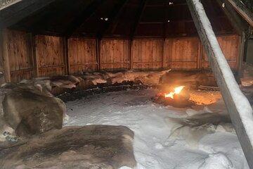 Experience Tromsø's Winter Fun on Shared Tours