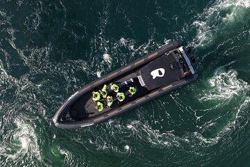 RIB Experience Saltstraumen and Eagle Safari