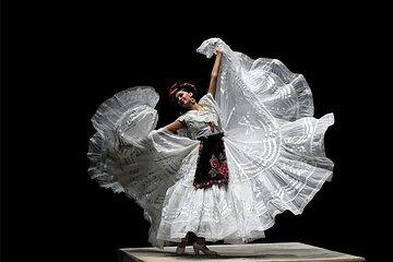 Amazing Folk Ballet Show