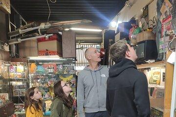 Private Flea Market Tour at Les Puces in Paris