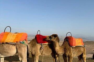 Marrakech Agafay Desert Sunset Camel Ride Dinner and Fire Show