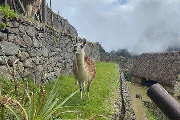 Full Day Machupicchu Tour