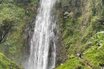 Materuni Waterfalls Coffee Tour and Kikuletwa Hot Springs.