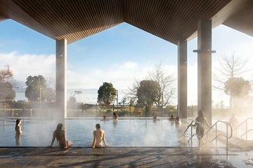 Auckland Maori Village and Wai Ariki Hot Spring Tour