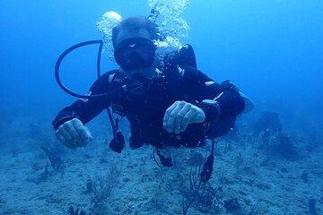 Palm Beach Private Scuba Diving Adventure