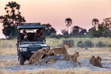 From Victoria Falls Chobe Day Trip with Lunch