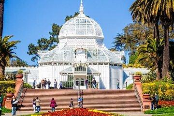 Private San Francisco Nature and Scenic Tour
