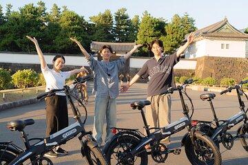 Private 2 hour Electric Bike Tour of City Highlights