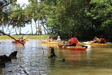 Kayak Adventure on the Roseau River in St Lucia