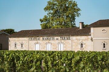Day trip: Inmersive tour in Bordeaux and Trip to a Vineyard