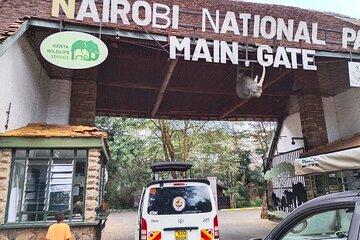Nairobi National Park, Sheldrick Elephant, Giraffe Centre Tour