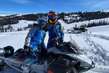 3 Hour Guided Snowmobile Trail Adventure